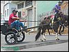 100_0206.JPG
