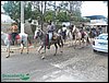 100_0210.JPG