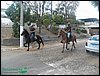 100_0214.JPG