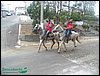 100_0216.JPG