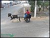 100_0218.JPG