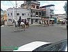 100_0220.JPG