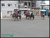100_0222.JPG