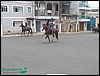 100_0224.JPG