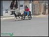 100_0226.JPG