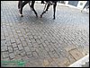 100_0229.JPG