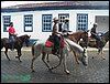 100_0231.JPG