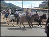 100_0349.JPG