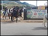 100_0351.JPG