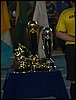 101_1693.JPG