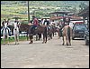 101_1785.JPG