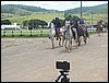 101_1805.JPG