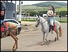 101_1808.JPG