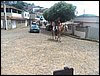101_1834.JPG