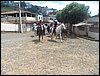 101_1836.JPG