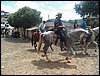 101_1840.JPG