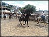 101_1842.JPG