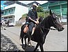 101_1860.JPG