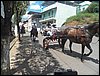 101_1864.JPG
