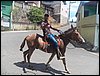 101_1866.JPG