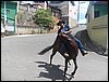 101_1868.JPG