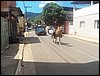 101_1870.JPG