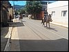 101_1882.JPG