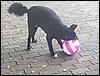 101_2123.JPG