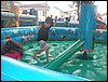 101_2241.JPG
