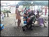 101_2295.JPG